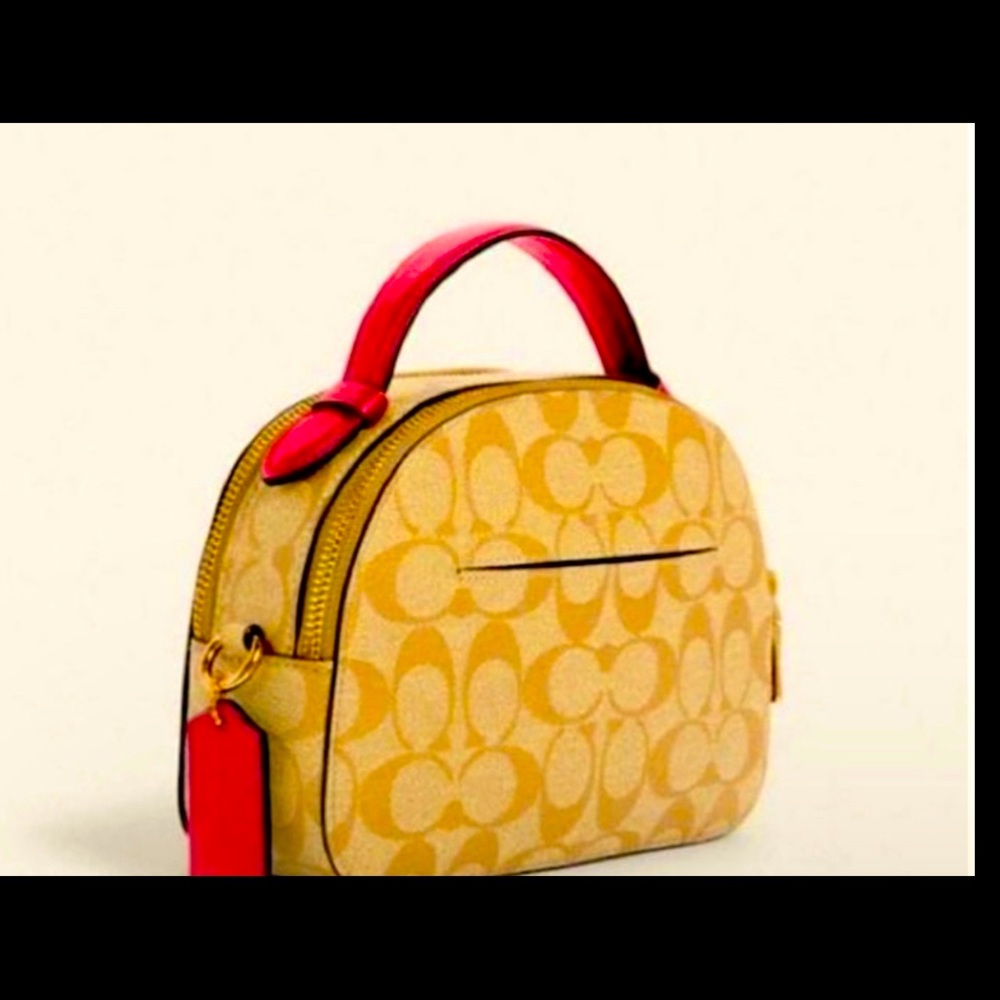 Serena Satchel In Signature Canvas